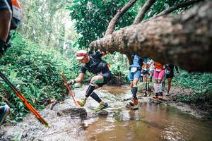 BIB: 
                            <button type="button" onclick="openModal(25374600)" class="btn btn-primary btn-sm float-right btn-popup" data-toggle="modal" data-target=".modal-high-quality">
                        <i class="fas fa-shopping-cart"></i> Add to Cart
                    </button>
                                            <button type="button" onclick="isThisMe(25374600, true)" class="btn btn-success btn-sm float-right btn-popup btn-isme hidden" data-toggle="tooltip" data-placement="bottom" title="นี่คือรูปของคุณใช่ไหม คลิกที่นี่เพื่อเอาเข้าอัลบั้ม">
                        <i class="fas fa-plus"></i> Add to album
                    </button>
                    <button type="button" onclick="isThisMe(25374600, false)" class="btn btn-warning btn-sm float-right btn-popup btn-isnotme hidden">
                        <i class="fas fa-ban"></i> Remove from album
                    </button>